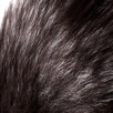 Анальная втулка Metal by TOYFA с хвостом черно-бурой лисы, металл, S - фото 7